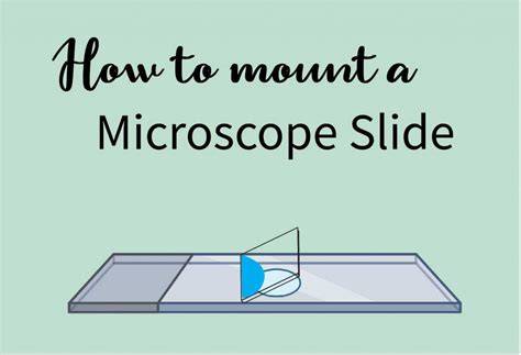 measure thickness inside microscope slide|microscope slide mount instructions.